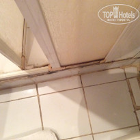 фото из отзыва ID 1172024