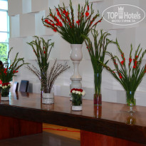 фото из отзыва ID 1172162