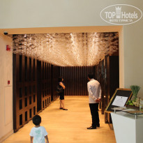 фото из отзыва ID 1172162