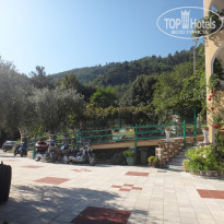 фото из отзыва ID 1172335