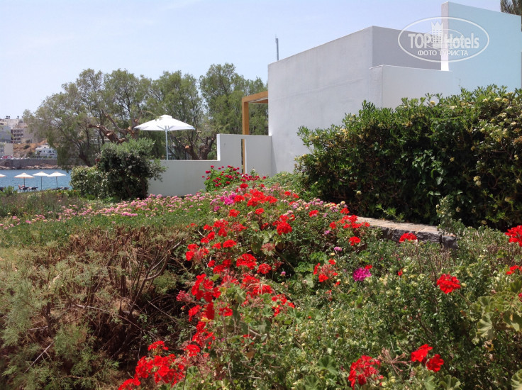 Bluegr Minos Beach Art Hotel