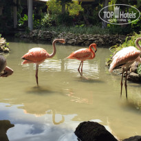 фото из отзыва ID 1172505