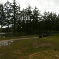 фото из отзыва ID 1172627