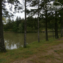 фото из отзыва ID 1172627