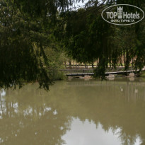 фото из отзыва ID 1172627