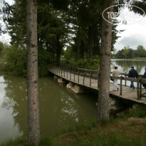 фото из отзыва ID 1172627