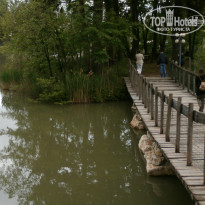 фото из отзыва ID 1172627