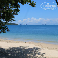 фото из отзыва ID 1172894