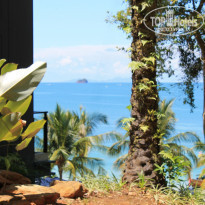 фото из отзыва ID 1172894