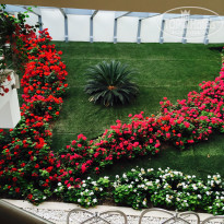 фото из отзыва ID 1173207