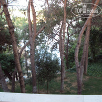 фото из отзыва ID 1173223