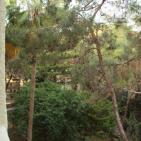 фото из отзыва ID 1173223