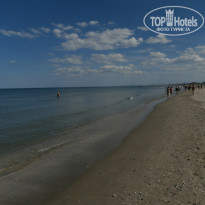 фото из отзыва ID 1173257