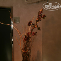 фото из отзыва ID 1173284