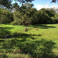 фото из отзыва ID 1173426