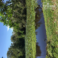 фото из отзыва ID 1173426