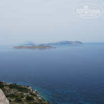 фото из отзыва ID 1173734