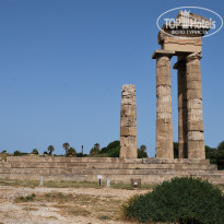 фото из отзыва ID 1173734