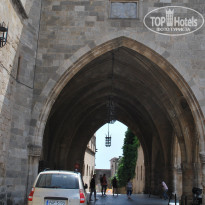 фото из отзыва ID 1173734