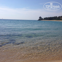 фото из отзыва ID 1174008