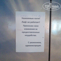 фото из отзыва ID 1174027