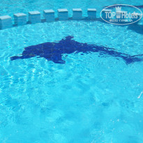 фото из отзыва ID 1174107