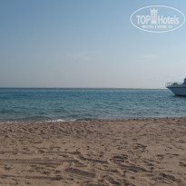 фото из отзыва ID 1174107