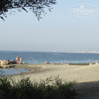 фото из отзыва ID 1174374