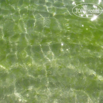 фото из отзыва ID 1174494