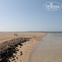 фото из отзыва ID 1174669