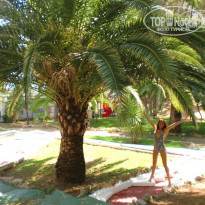 фото из отзыва ID 1175021