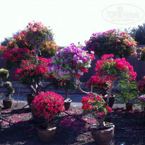 фото из отзыва ID 1172542