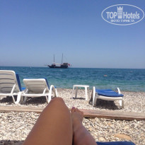 фото из отзыва ID 1175140