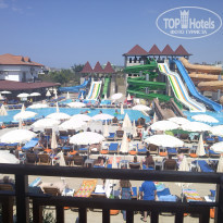 фото из отзыва ID 1175165