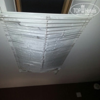 фото из отзыва ID 1175248