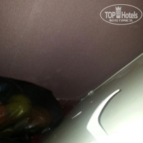 фото из отзыва ID 1175248