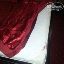 фото из отзыва ID 1175248