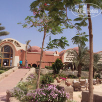 фото из отзыва ID 1175579