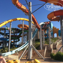 фото из отзыва ID 1175740