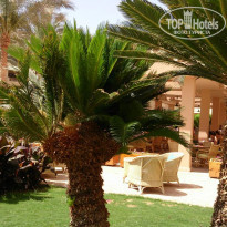 фото из отзыва ID 1175866