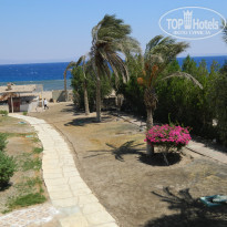 фото из отзыва ID 1176079