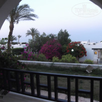 фото из отзыва ID 1176115