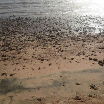 фото из отзыва ID 1176135