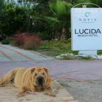 фото из отзыва ID 1175894