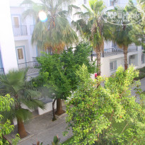 фото из отзыва ID 1176611