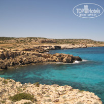 фото из отзыва ID 1176632