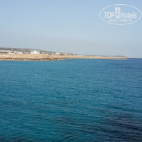 фото из отзыва ID 1176632