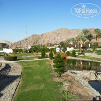 фото из отзыва ID 1175890