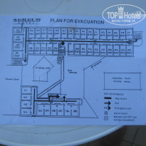 фото из отзыва ID 1176726