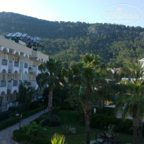 фото из отзыва ID 1176727